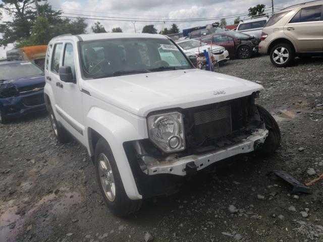 JEEP LIBERTY SP 2011 1j4pn2gk3bw533246