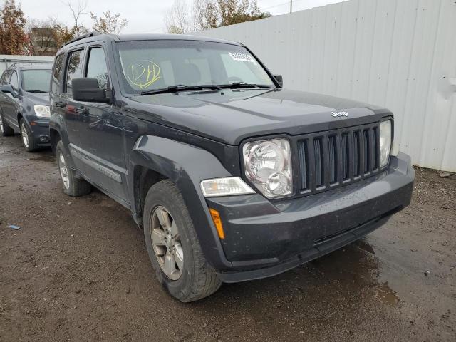 JEEP LIBERTY SP 2011 1j4pn2gk3bw538589