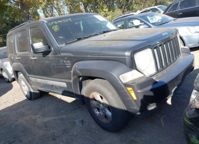 JEEP LIBERTY (NORTH AMERICA) 2011 1j4pn2gk3bw555179