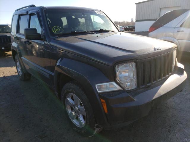 JEEP LIBERTY SP 2011 1j4pn2gk3bw592250