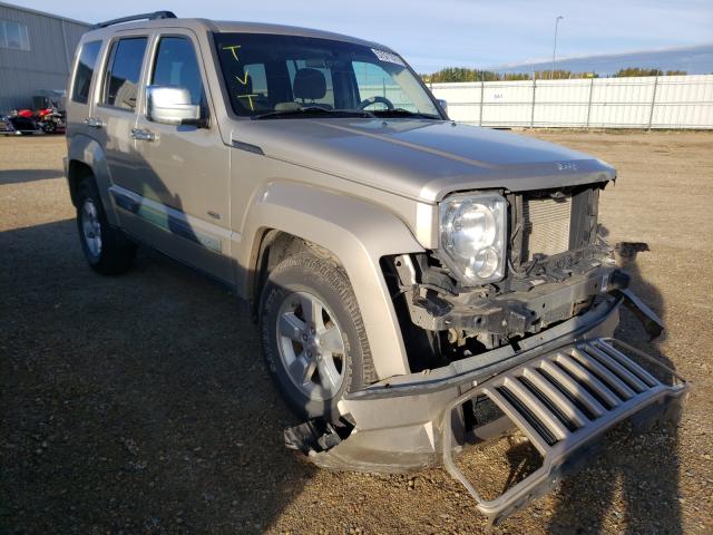 JEEP LIBERTY SP 2010 1j4pn2gk4aw121349