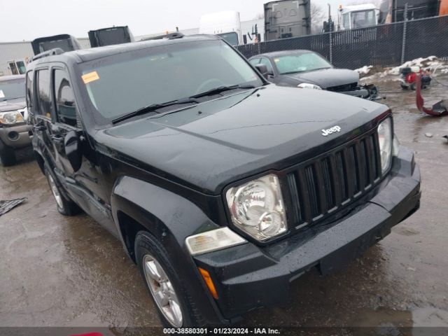 JEEP LIBERTY 2010 1j4pn2gk4aw171216