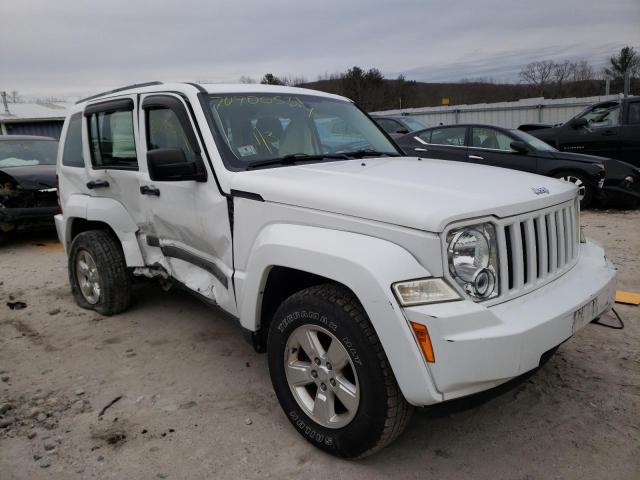 JEEP LIBERTY SP 2011 1j4pn2gk4bw585789