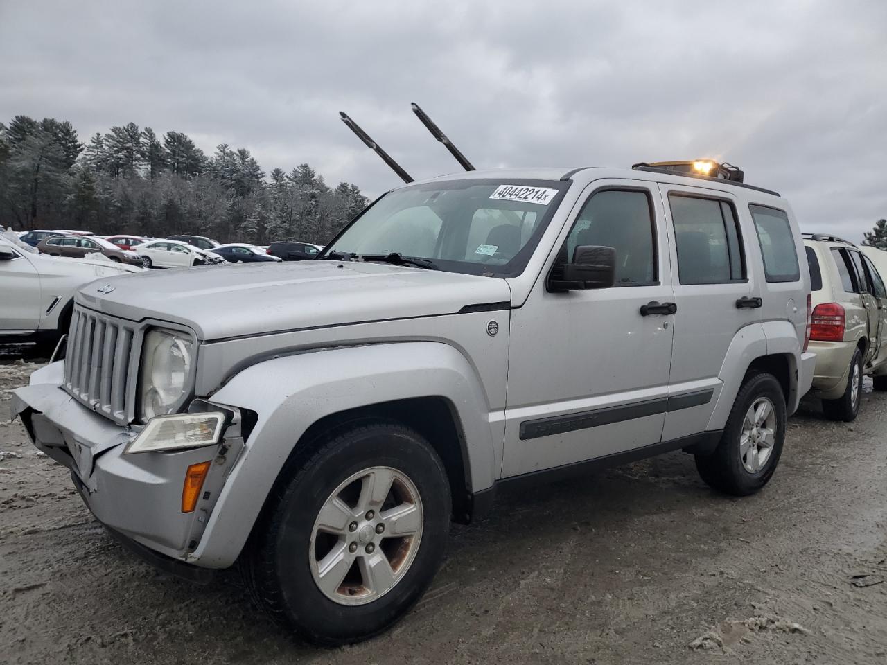 JEEP LIBERTY (NORTH AMERICA) 2010 1j4pn2gk5aw135907