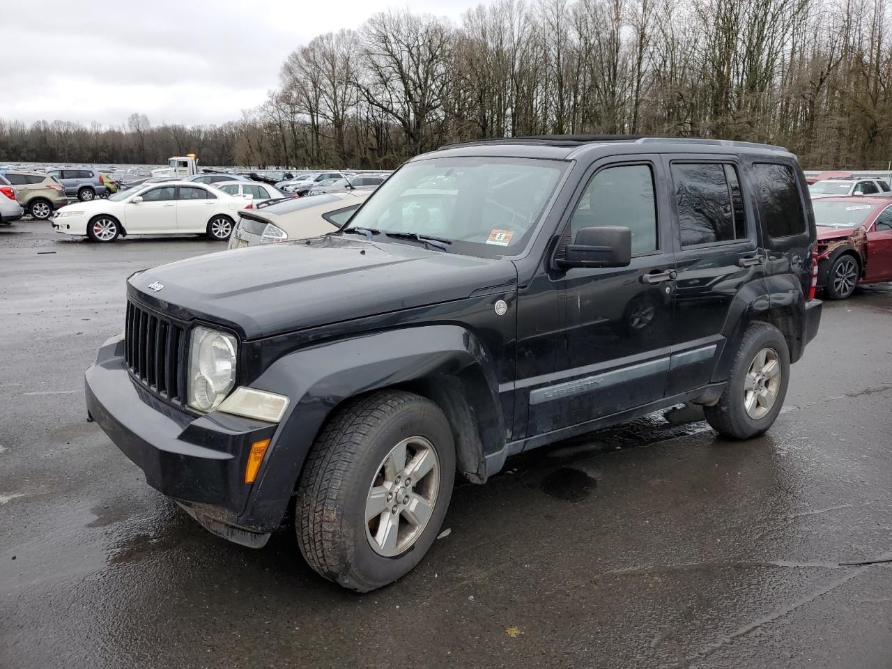 JEEP LIBERTY (NORTH AMERICA) 2010 1j4pn2gk6aw102608