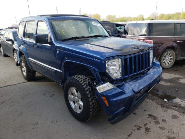 JEEP LIBERTY SP 2010 1j4pn2gk6aw102995