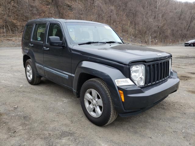 JEEP LIBERTY SP 2010 1j4pn2gk6aw154501