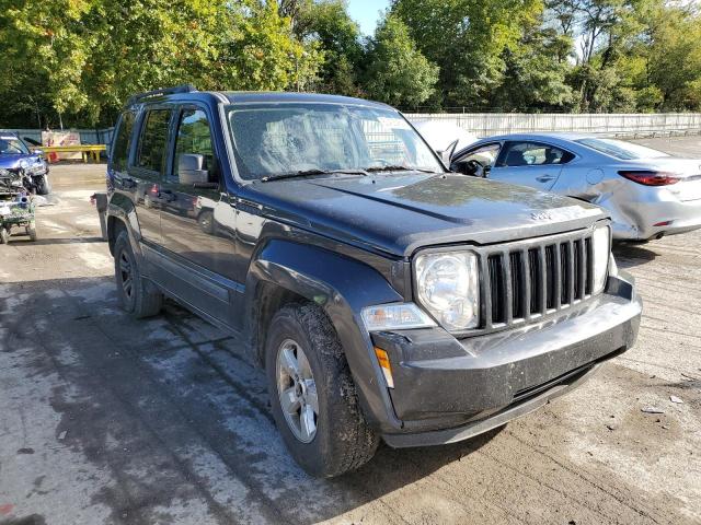 JEEP LIBERTY SP 2010 1j4pn2gk6aw177390