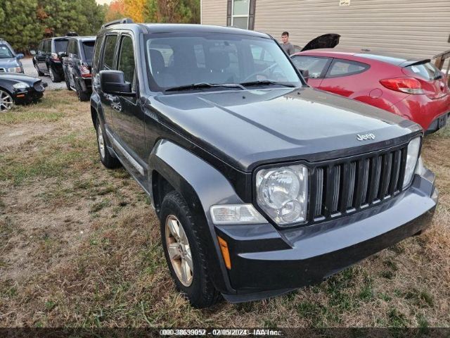 JEEP LIBERTY 2011 1j4pn2gk6bw508616