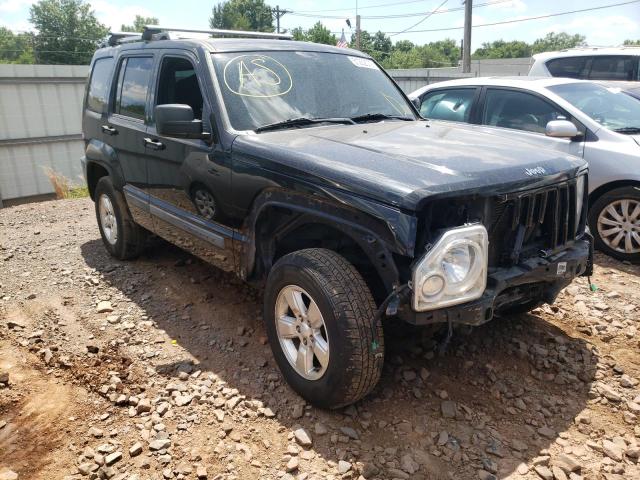 JEEP LIBERTY SP 2010 1j4pn2gk7aw176832