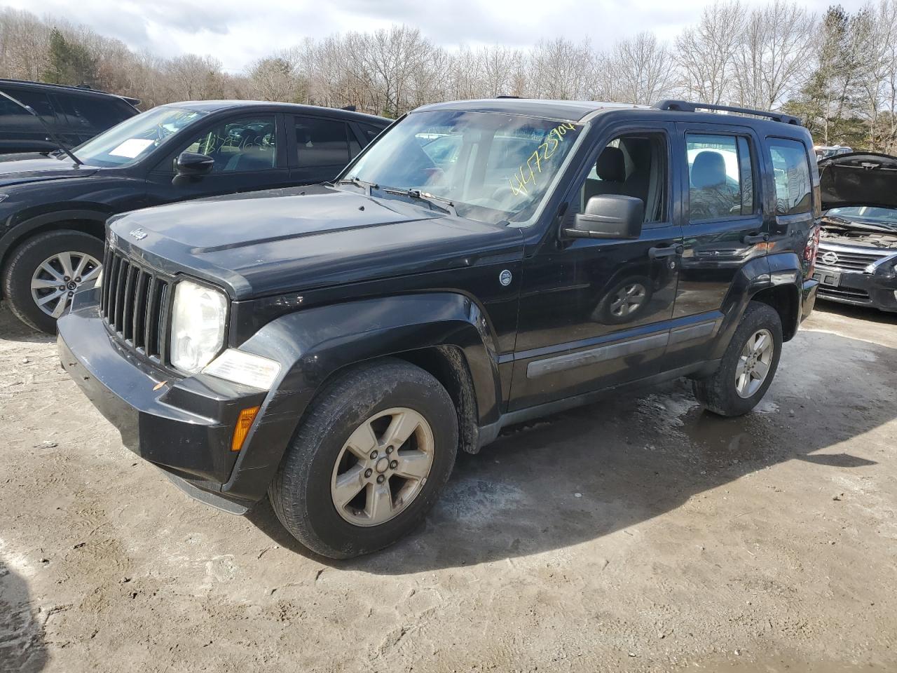 JEEP LIBERTY (NORTH AMERICA) 2011 1j4pn2gk7bw519267