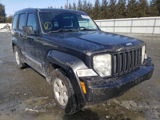 JEEP LIBERTY SP 2011 1j4pn2gk7bw585902