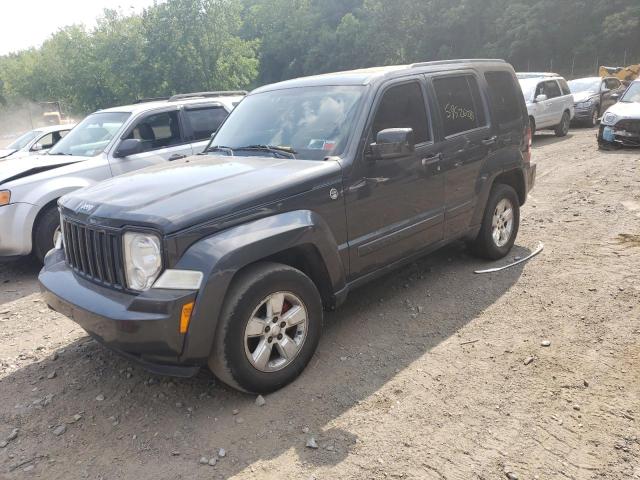 JEEP LIBERTY SP 2010 1j4pn2gk8aw152040