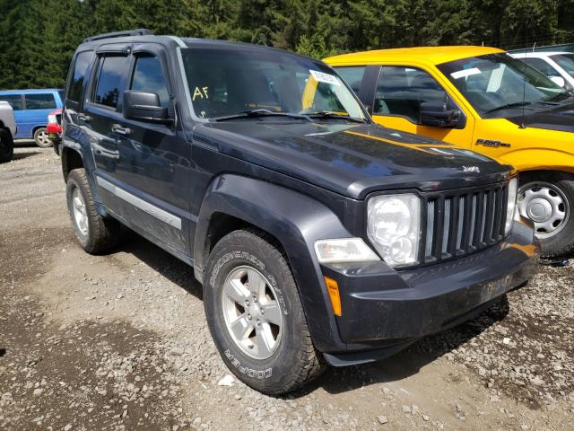 JEEP LIBERTY SP 2010 1j4pn2gk8aw159294