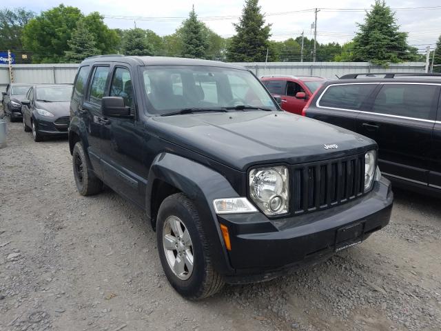 JEEP LIBERTY SP 2011 1j4pn2gk8bw503269