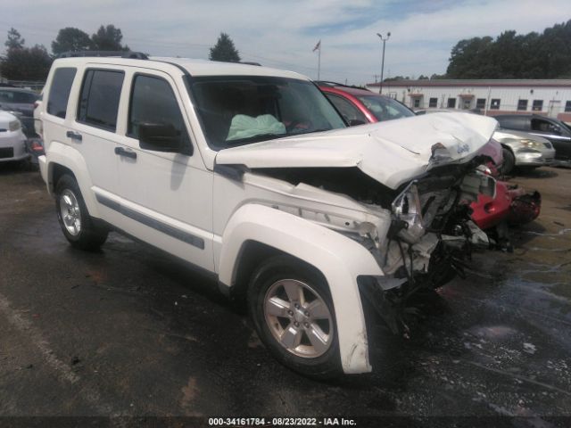 JEEP LIBERTY 2010 1j4pn2gkxaw162813