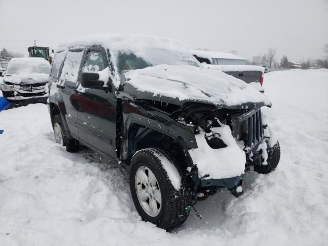 JEEP LIBERTY SP 2010 1j4pn2gkxaw167915