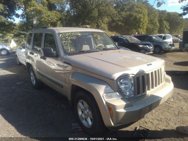 JEEP LIBERTY 2010 1j4pn2gkxaw179563