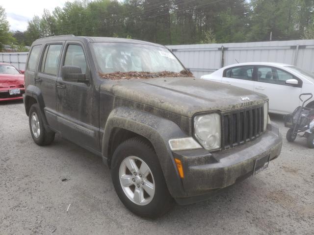 JEEP LIBERTY SP 2011 1j4pn2gkxbw553977