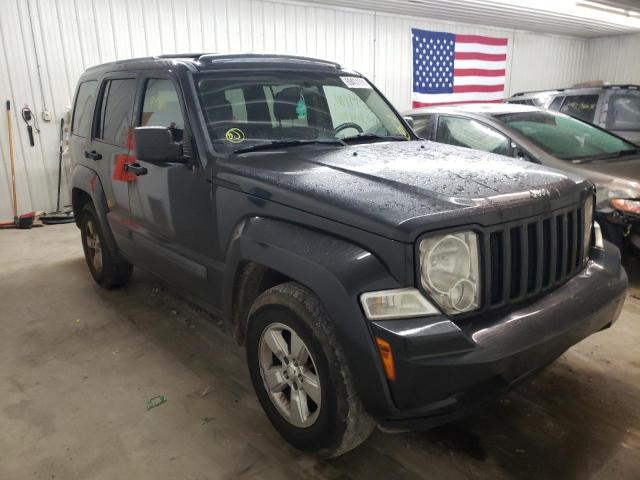 JEEP LIBERTY SP 2011 1j4pn2gkxbw594237