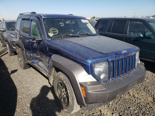 JEEP LIBERTY RE 2010 1j4pn3gk6aw147165