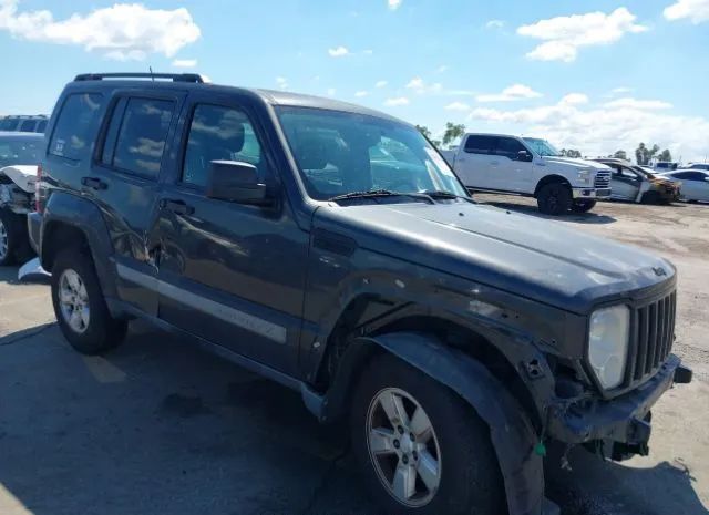 JEEP LIBERTY 2010 1j4pp2gk0aw154987