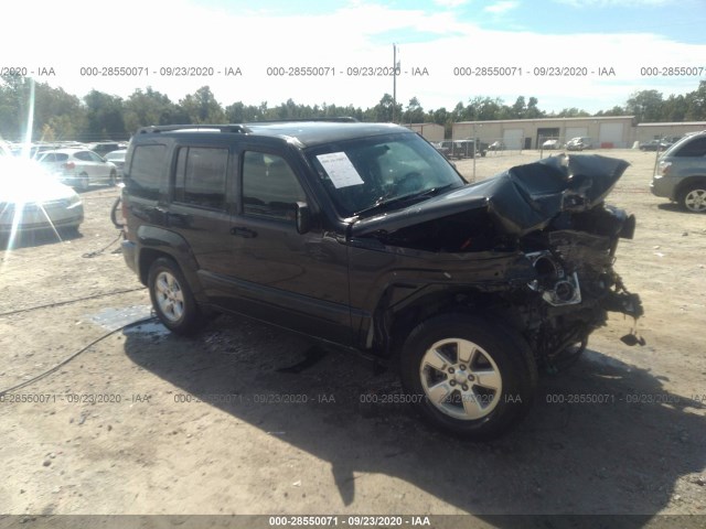 JEEP LIBERTY 2010 1j4pp2gk0aw173166