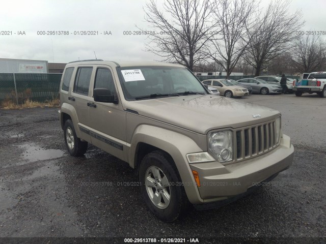 JEEP LIBERTY 2011 1j4pp2gk0bw521128