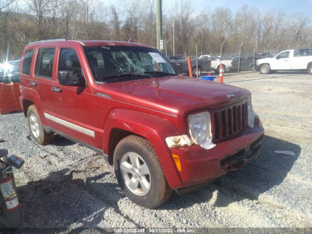 JEEP LIBERTY 2010 1j4pp2gk1aw156280