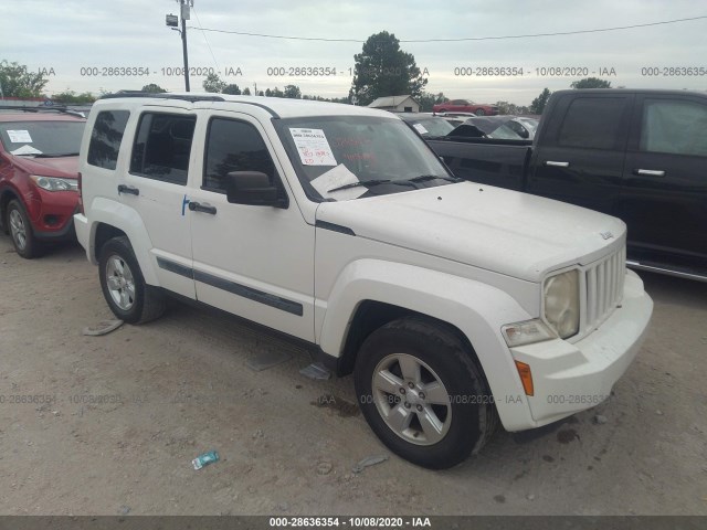 JEEP LIBERTY 2010 1j4pp2gk2aw117729