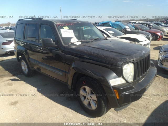 JEEP LIBERTY 2010 1j4pp2gk2aw118041