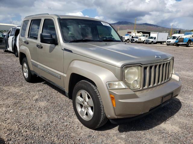 JEEP LIBERTY 2011 1j4pp2gk3bw562918