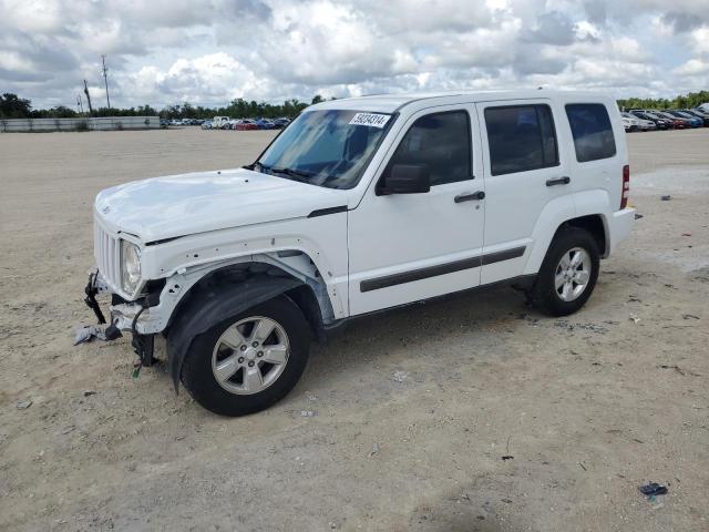 JEEP LIBERTY 2011 1j4pp2gk4bw542693