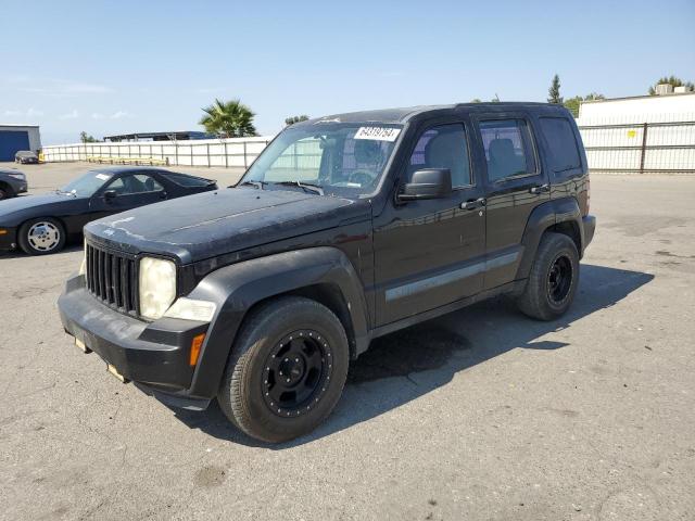 JEEP LIBERTY 2010 1j4pp2gk5aw110788