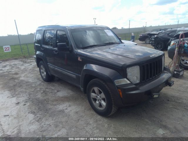 JEEP LIBERTY 2011 1j4pp2gk5bw518273