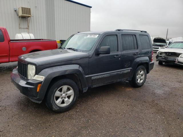 JEEP LIBERTY SP 2010 1j4pp2gk7aw181796