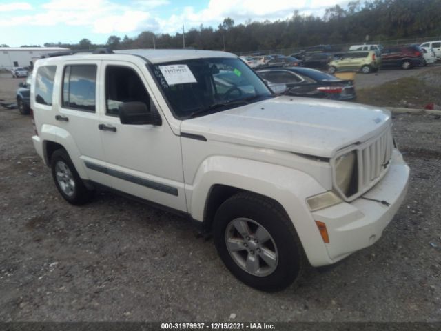 JEEP LIBERTY 2010 1j4pp2gk8aw106797