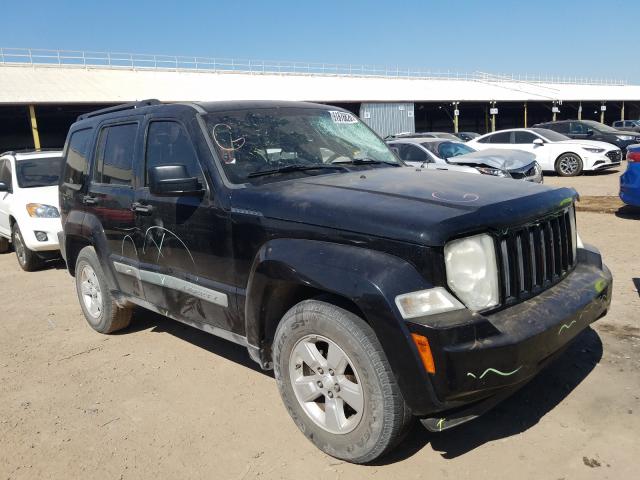 JEEP LIBERTY SP 2010 1j4pp2gk9aw139825