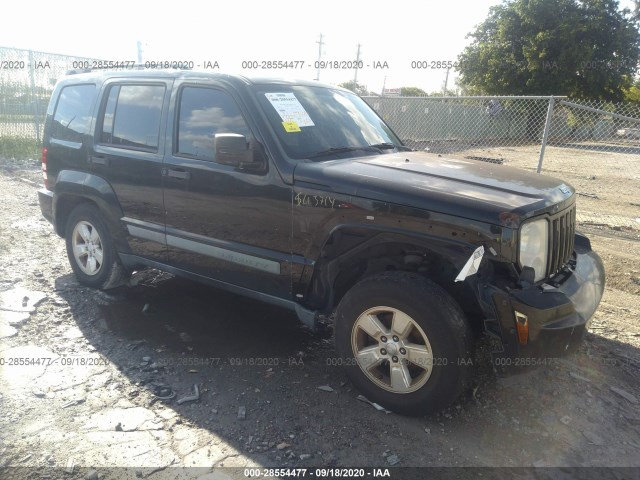 JEEP LIBERTY 2010 1j4pp2gk9aw146452