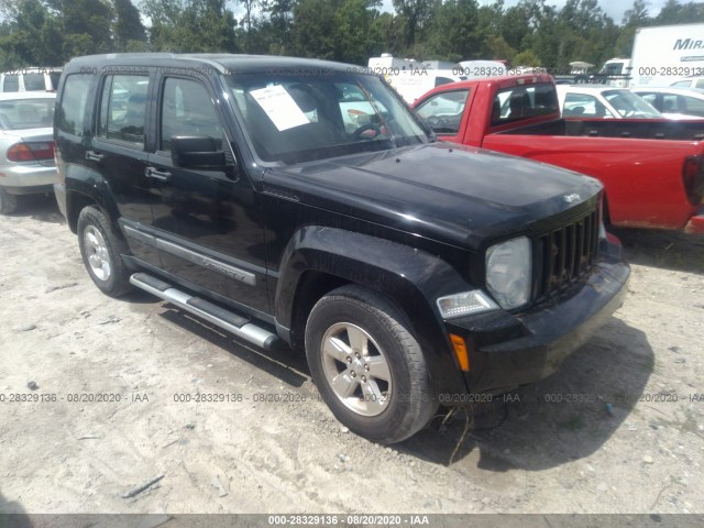 JEEP LIBERTY 2011 1j4pp2gkxbw504191