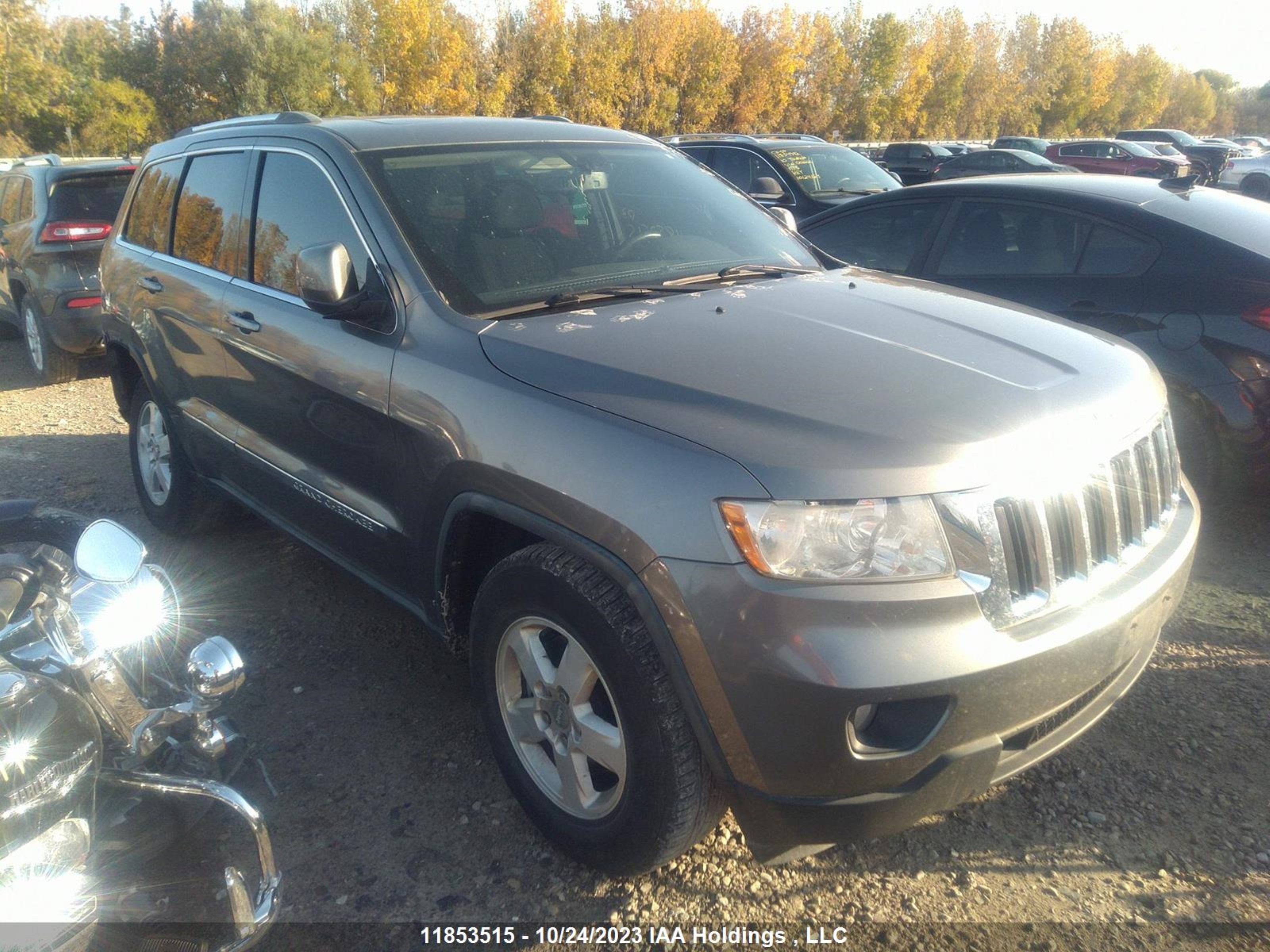 JEEP GRAND CHEROKEE 2011 1j4rr4ggxbc661117