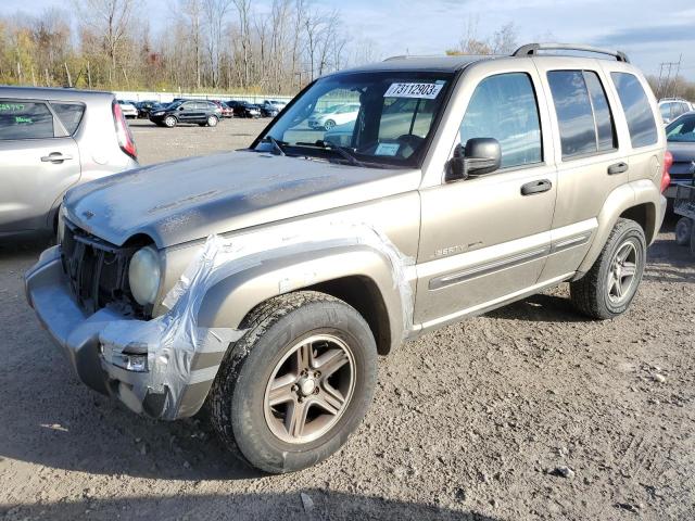 JEEP LIBERTY 2004 1j8gk48k24w295359