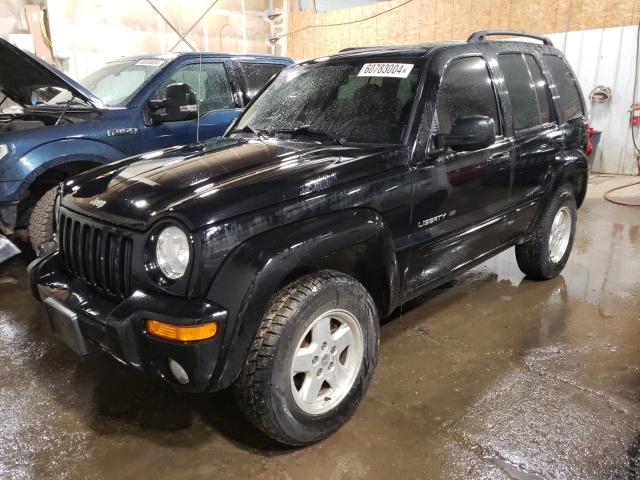 JEEP LIBERTY 2002 1j8gk58k02w244445