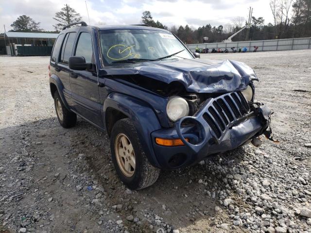 JEEP LIBERTY LI 2004 1j8gk58k24w175938