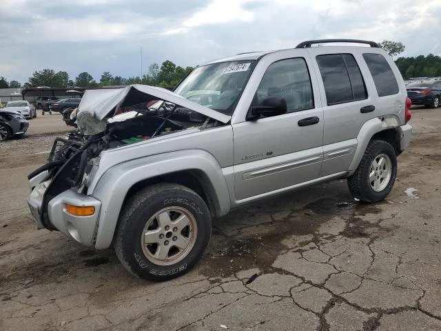 JEEP LIBERTY LI 2002 1j8gk58k52w234669