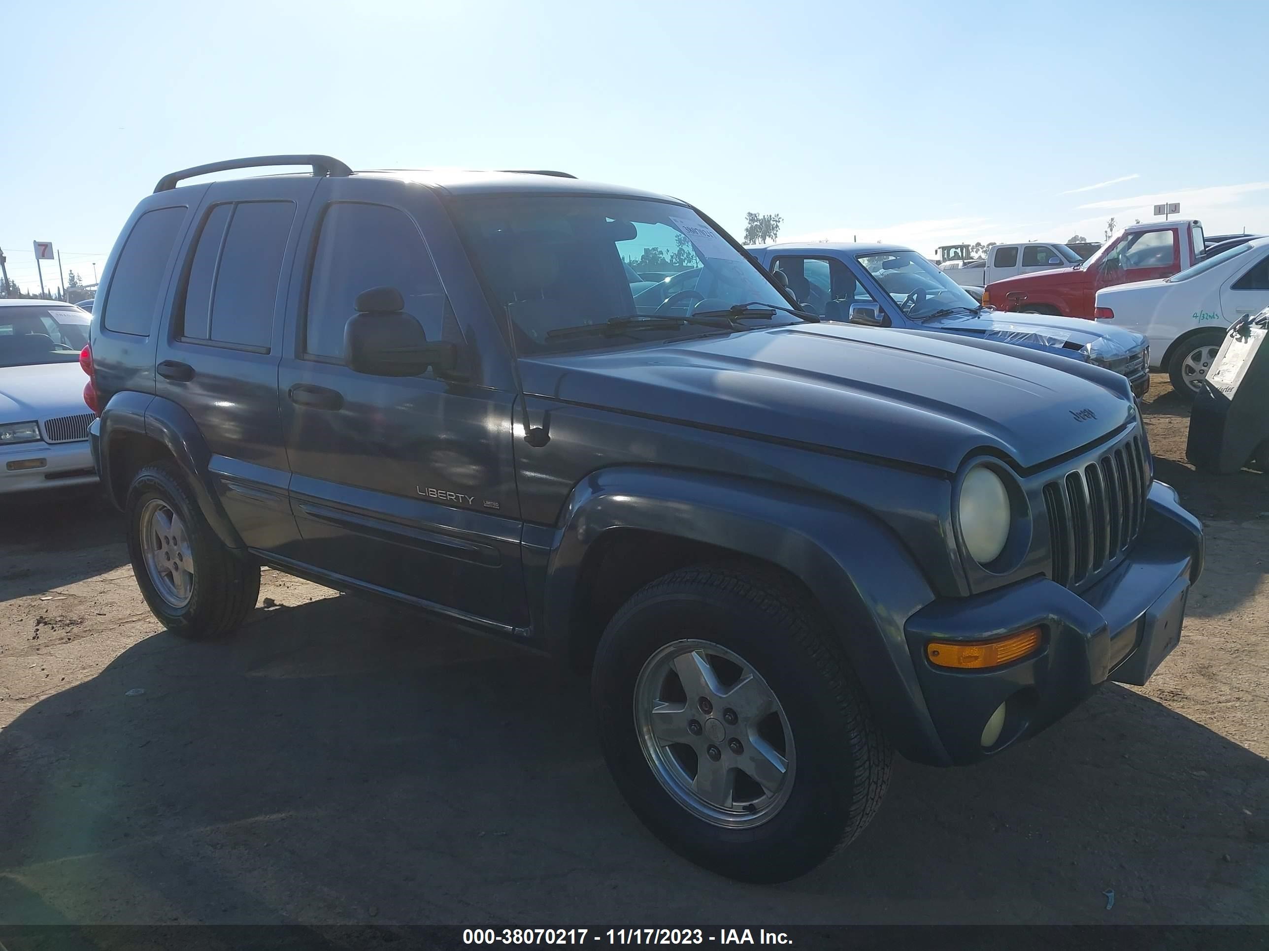 JEEP LIBERTY (NORTH AMERICA) 2002 1j8gk58k62w314563