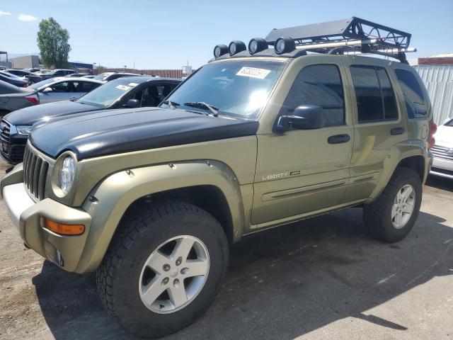 JEEP LIBERTY 2002 1j8gl38k02w350704