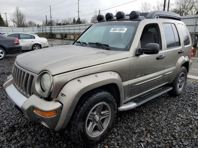 JEEP LIBERTY 2003 1j8gl38k13w609573