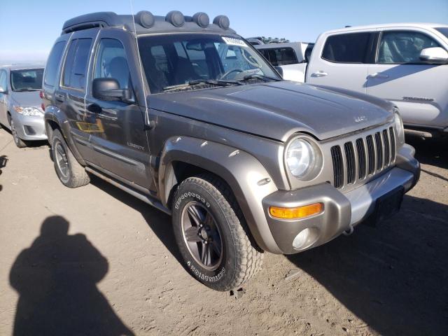 JEEP LIBERTY RE 2004 1j8gl38k14w301207