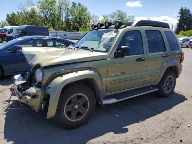 JEEP LIBERTY 2003 1j8gl38k53w593040